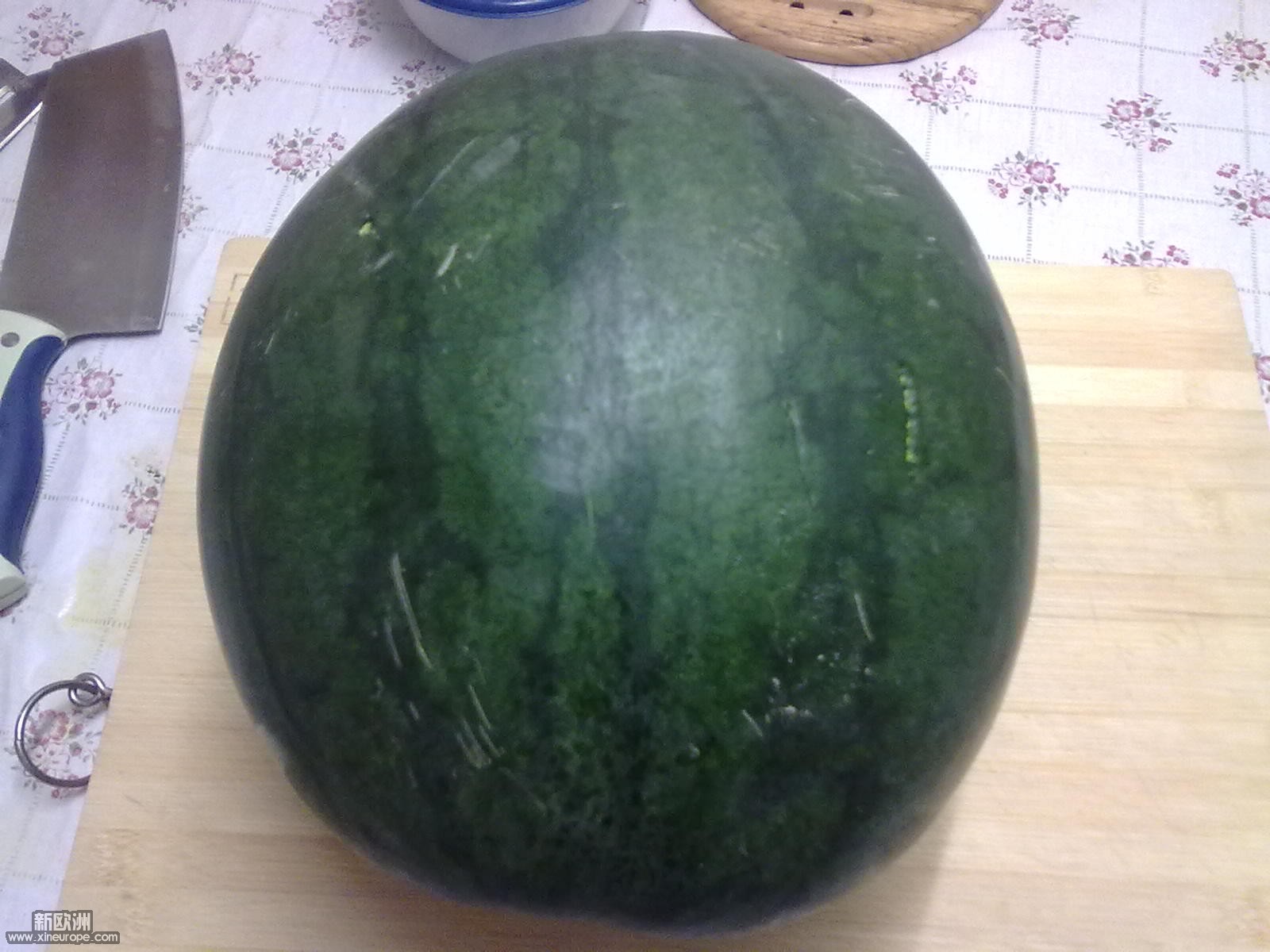 20100604105.jpg