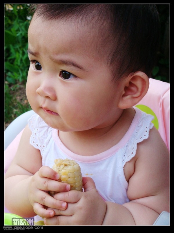 DSC01177p.jpg