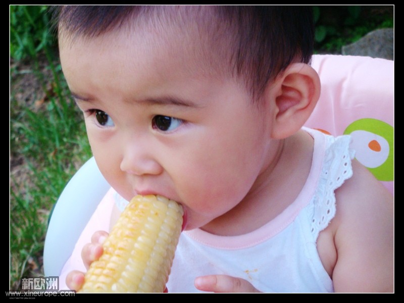 DSC01180p.jpg