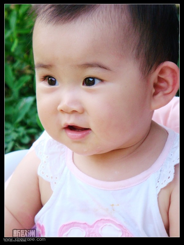 DSC01166p.jpg