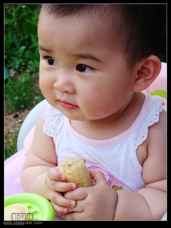 DSC01178p.jpg