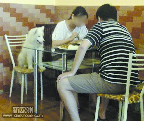 2009822955424232[1].jpg