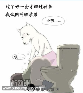18.jpg