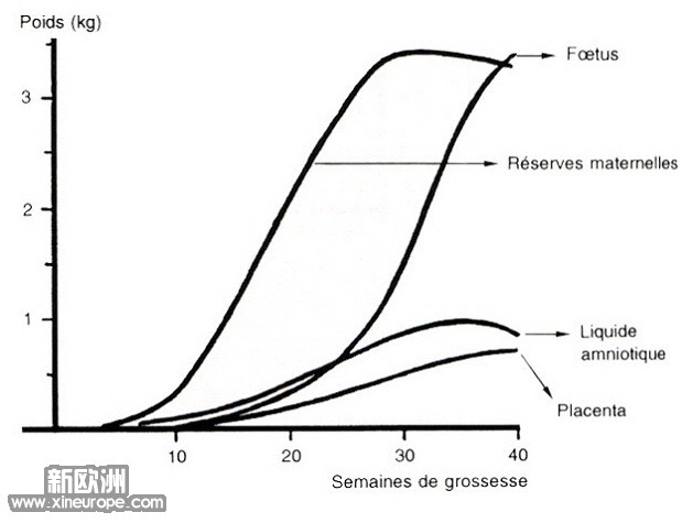 poids pd grossesse.jpg