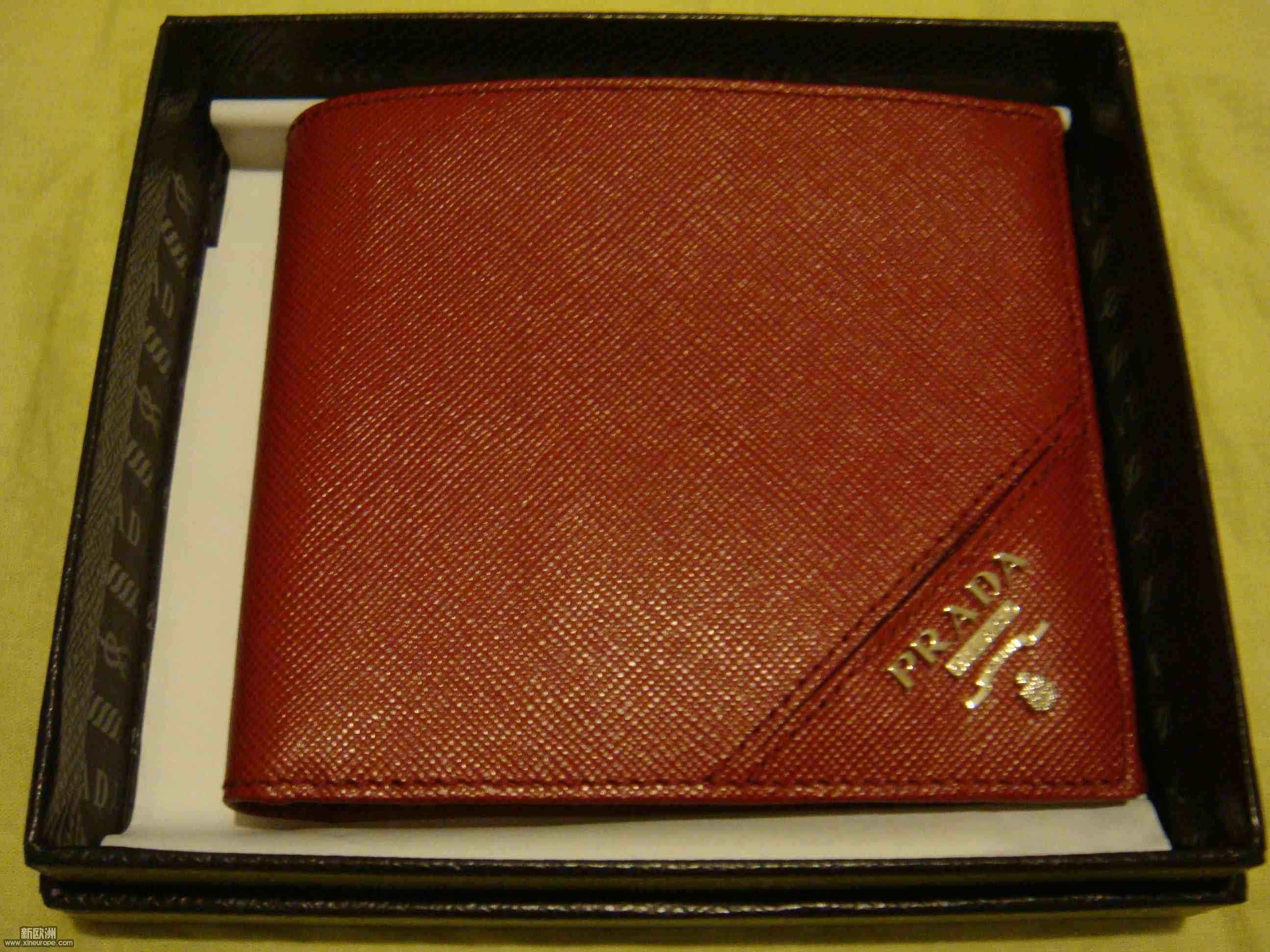 DSC02777.jpg