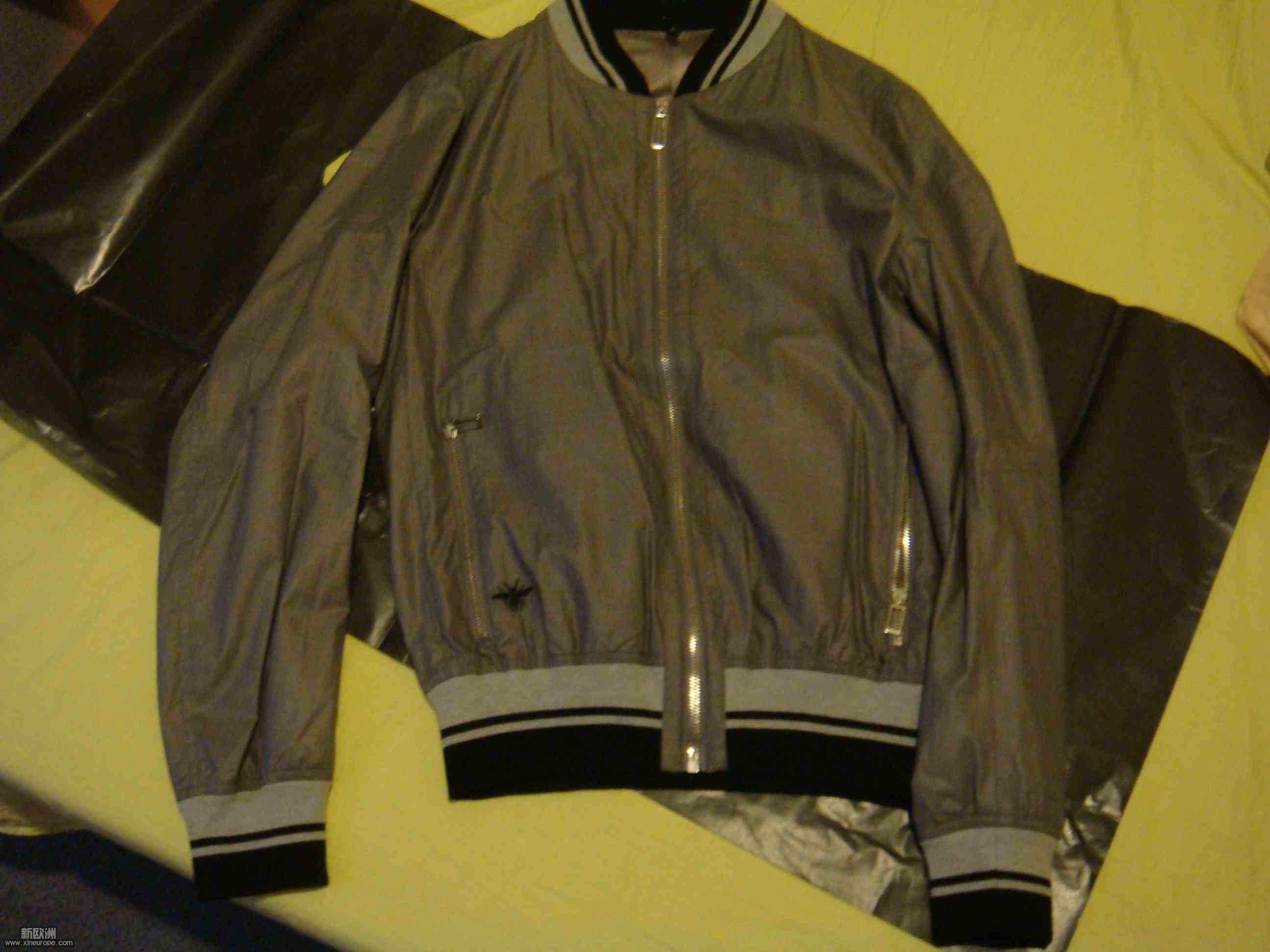 DSC02765.jpg