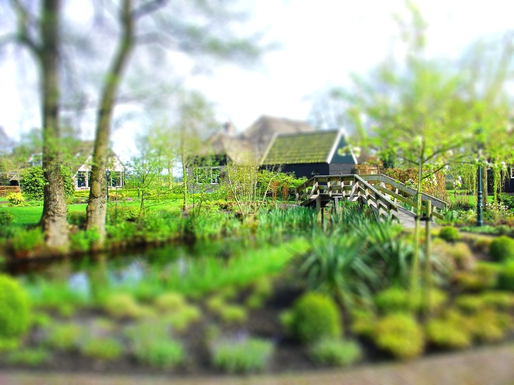 20080429-85-tiltshift.jpg