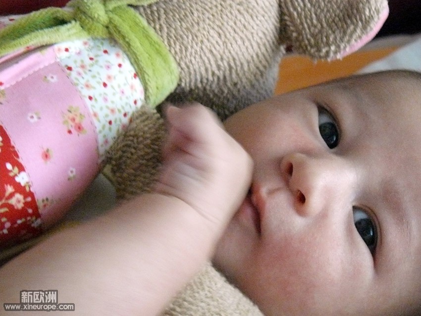 P1090538-s.jpg
