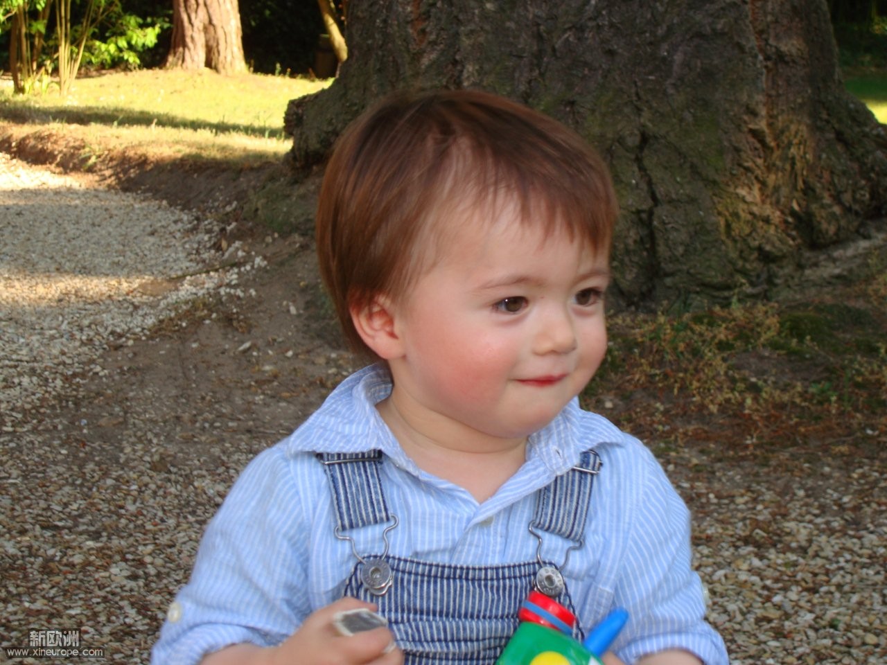 DSC07723.jpg