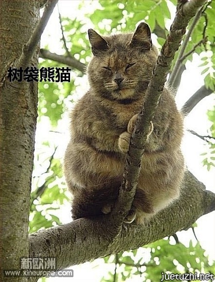 020_26cb4d6ff5d5cc19d80b1eefc81df555.jpg