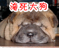dc53db6237a03d3da51efd8f73e0eb02[1].gif
