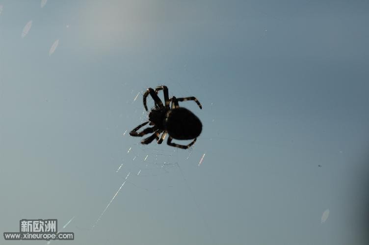 DSC_0123.jpg