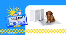 【Prime Day】家里有狗狗的看过来！🐶狗狗尿垫120件装18€！不会搞脏地板，好价赶紧囤！