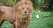 动物园特价票低至68折！法国最美动物园之一！没地儿玩了就去看看可爱的动物们吧！