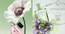 黑五狂促💝Prada香香49折起⚜️我本莫测90ml折后82€👍浮梦鸢尾3件套礼盒98€！