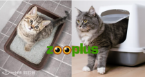 Zooplus便携猫包🐱宠物背包🐶低至65折➕独家9折！春暖花开🌸带上毛孩子一起去踏青吧！