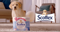 罕见好价！法亚销量第一的Scottex小狗卫生纸24卷仅7€🔥84卷28€！柔软亲肤！消耗品遇到好价就要囤啊！