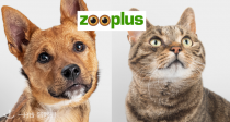 【打折季最终轮】Zooplus春促开启🐶大批猫粮狗粮低至7折+免费加量+新人额外9折！快来给毛孩子们囤粮！🐱