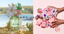 🌸Marc Jacobs小雏菊🌼60€收125ml雏菊花语香香👉还有限定可选！