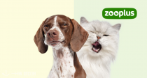 买宠物用品就来Zooplus！猫粮、狗粮、罐头、猫砂等低至66折+新人9折！限时送情人节小毯子💝