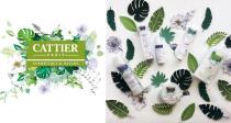 告别蛇皮💥法亚Cattier有机身体乳仅6€！天竺葵精油滋润锁水72小时！质地轻盈好推开！