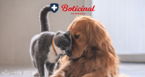 做个合格的铲屎官！Boticinal宠物专区低门槛88折🐾为家里的毛孩子囤起来~