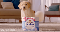 罕见好价！法亚销量第一的Scottex小狗卫生纸24卷仅6€🔥84卷24€！柔软亲肤！消耗品遇到好价就要囤啊！