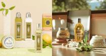 法亚L'OCCITANE/欧舒丹51折起❗❗乳木果身体乳29€！乳木果护手霜18€！洁面慕斯17€！