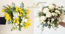 鲜花指南💐Interfloral 新年年宵花🧨➕情人节送花推荐💌审美超好，新人立减5€！