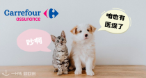 🐱🐶毛孩子保险5.42欧/月起！看病无忧！1个麦当劳套餐都不要，买1份安心！附最强最全解析