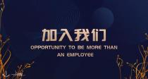 高潜力职位 -Junior Account Executive -- 招聘