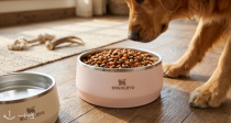 Stanley 全网爆火宠物碗欧洲上线🐶仅55€❗质感露营风超耐造，洗碗机可用，铲屎官闭眼入不亏🥣