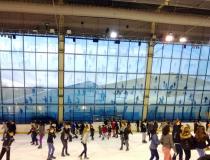 图片来啦！1月26日新欧洲线下活动“GO SPORT”之冬日溜冰！
