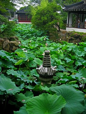 Humble_admin_garden_suzhou_small.jpg
