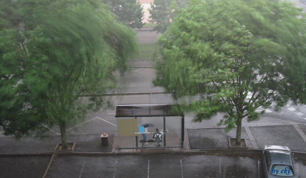 rain_3.JPG