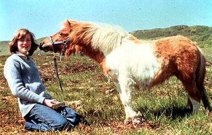 黛安那十几岁的时候在与小马玩耍.jpg