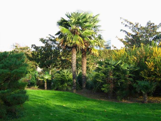 jardin botanique-003.jpg